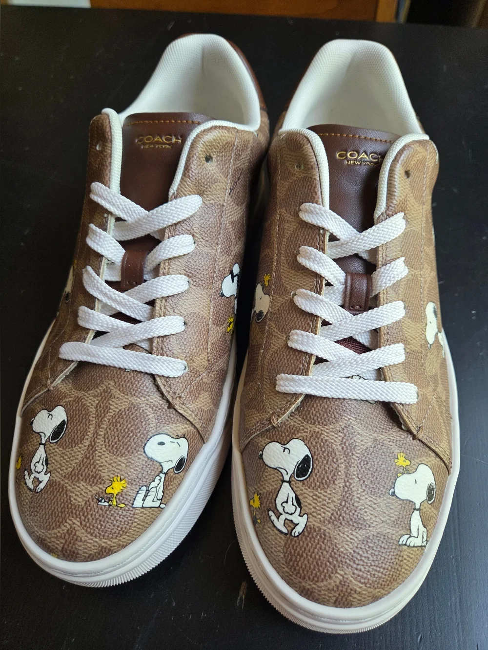 Coach × Peanuts Shoes - Picture 1 of 16